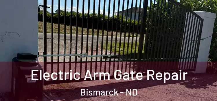 Electric Arm Gate Repair Bismarck - ND