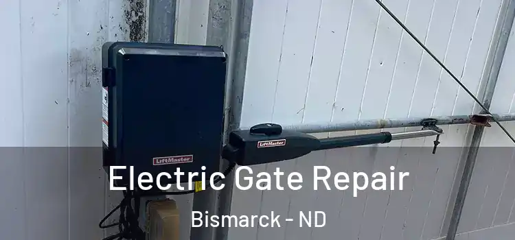 Electric Gate Repair Bismarck - ND