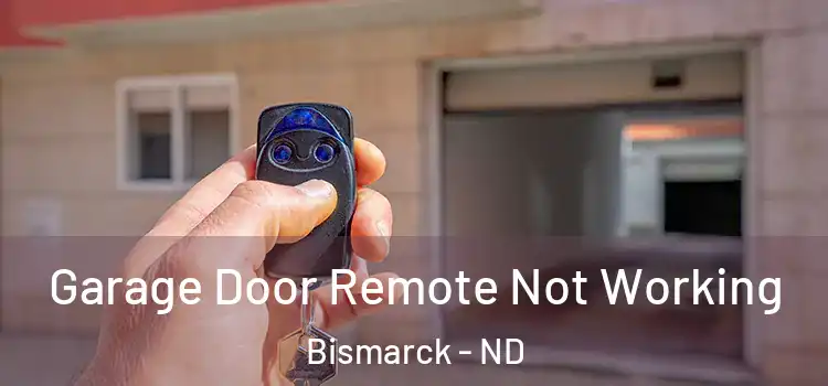  Garage Door Remote Not Working Bismarck - ND