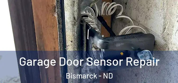 Garage Door Sensor Repair Bismarck - ND