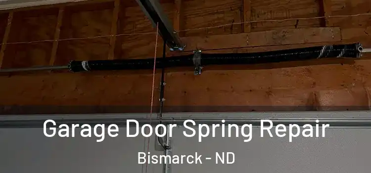  Garage Door Spring Repair Bismarck - ND