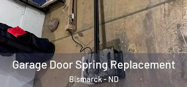  Garage Door Spring Replacement Bismarck - ND