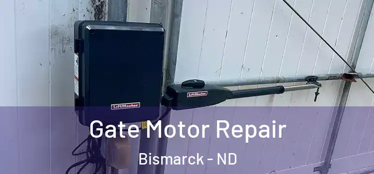 Gate Motor Repair Bismarck - ND