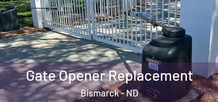 Gate Opener Replacement Bismarck - ND