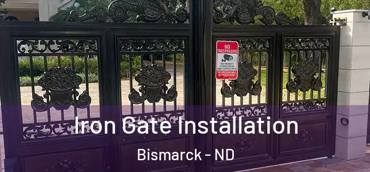 Iron Gate Installation Bismarck - ND