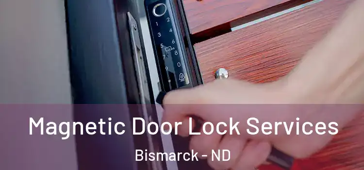 Magnetic Door Lock Services Bismarck - ND
