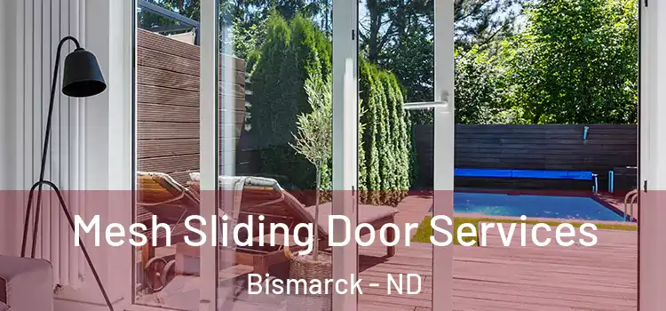 Mesh Sliding Door Services Bismarck - ND