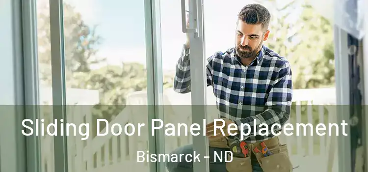  Sliding Door Panel Replacement Bismarck - ND