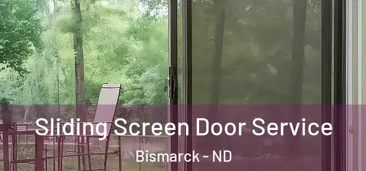 Sliding Screen Door Service Bismarck - ND